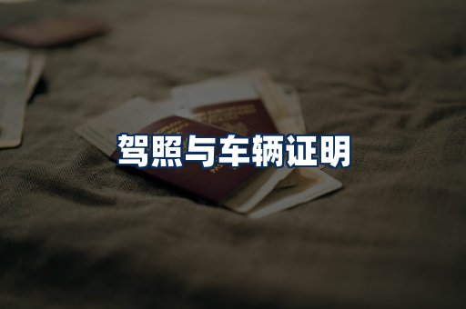 车辆证明展示