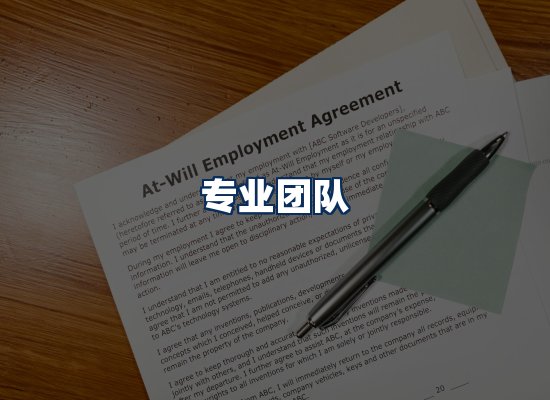 专业团队