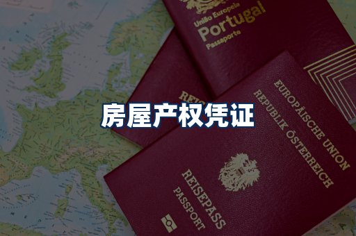 身份信息卡系列